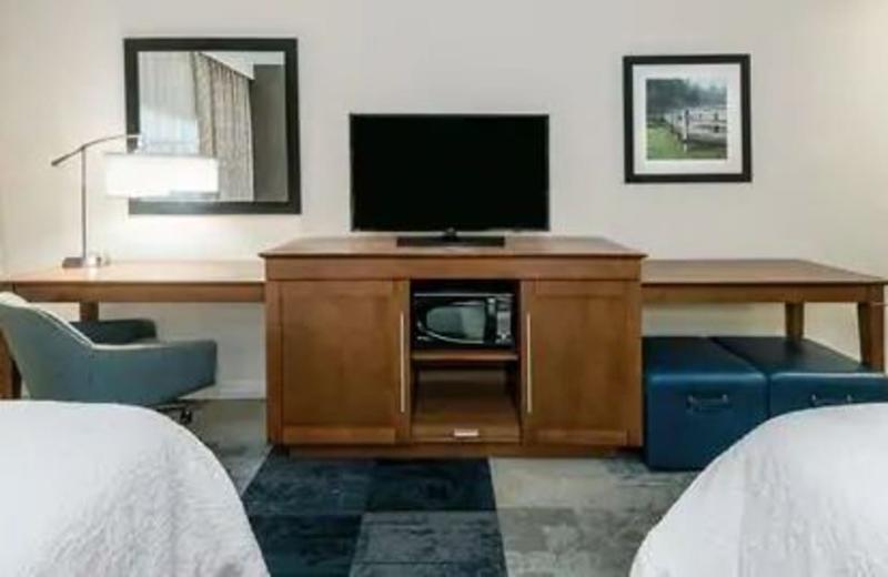 Hampton Inn & Suites San Antonio Brooks City Base, Tx Экстерьер фото